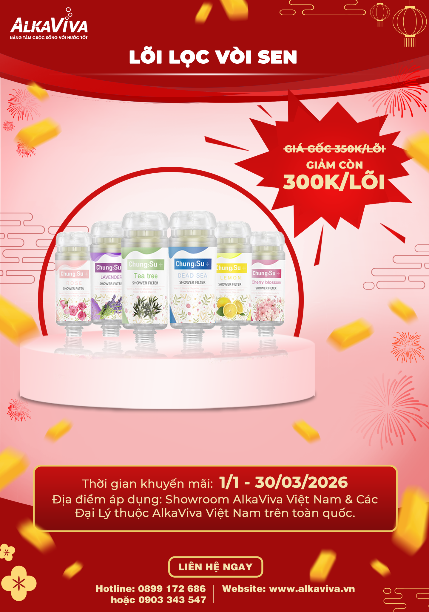 NEW YEAR’S SHOPPING – MUA SẮM ĐẦU NĂM