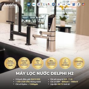 may-loc-nuoc-dien-gia-ion-kiem-Delphi