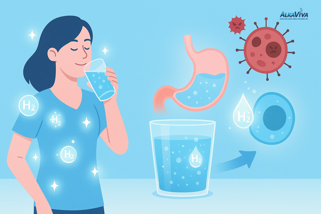 Từ nỗi lo ung thư, dạ dày đến bí quyết trẻ lâu – Máy lọc nước ion kiềm