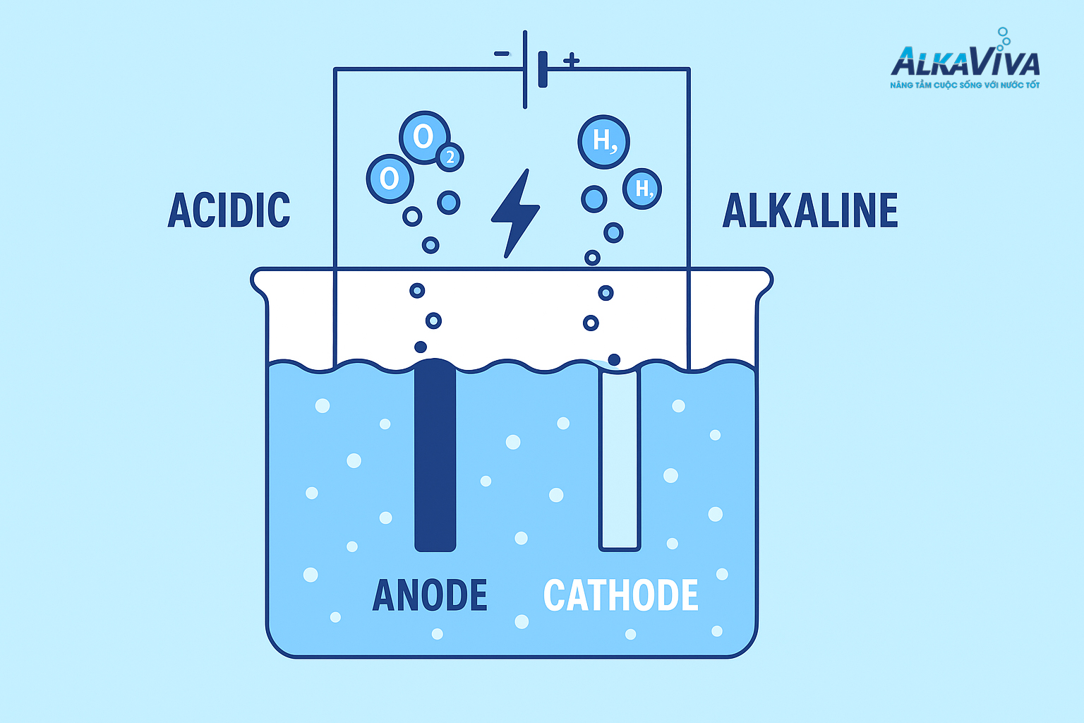Câu Hỏi Thường Gặp (FAQ) Về Máy Lọc Nước Ion Kiềm AlkaViva