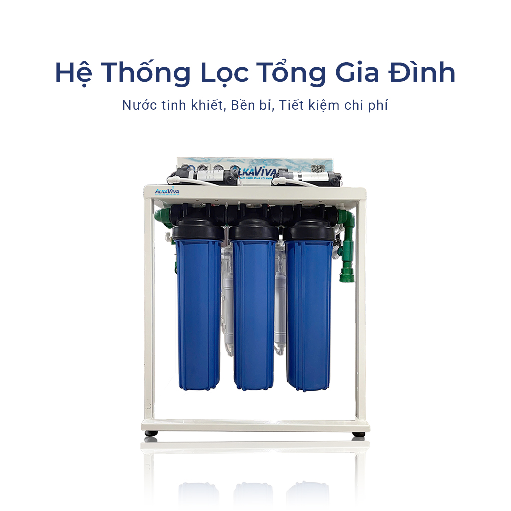 Bộ Lọc Tổng