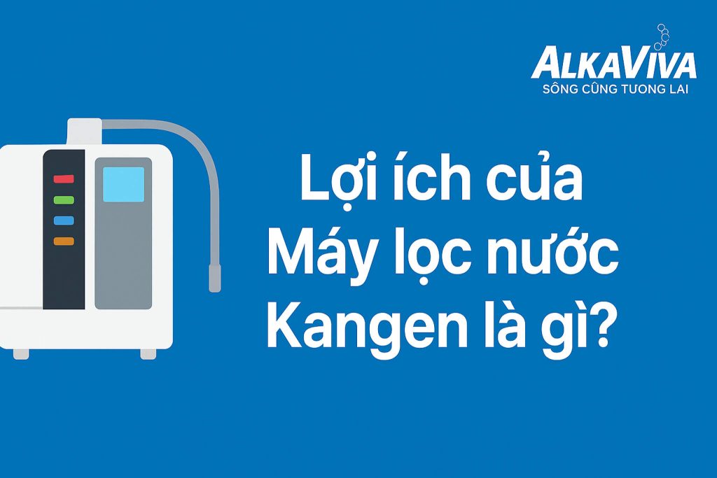Máy Lọc Nước Kangen: Giải Pháp Nước Sạch Kiềm Hóa Tối Ưu Cho Sức Khỏe