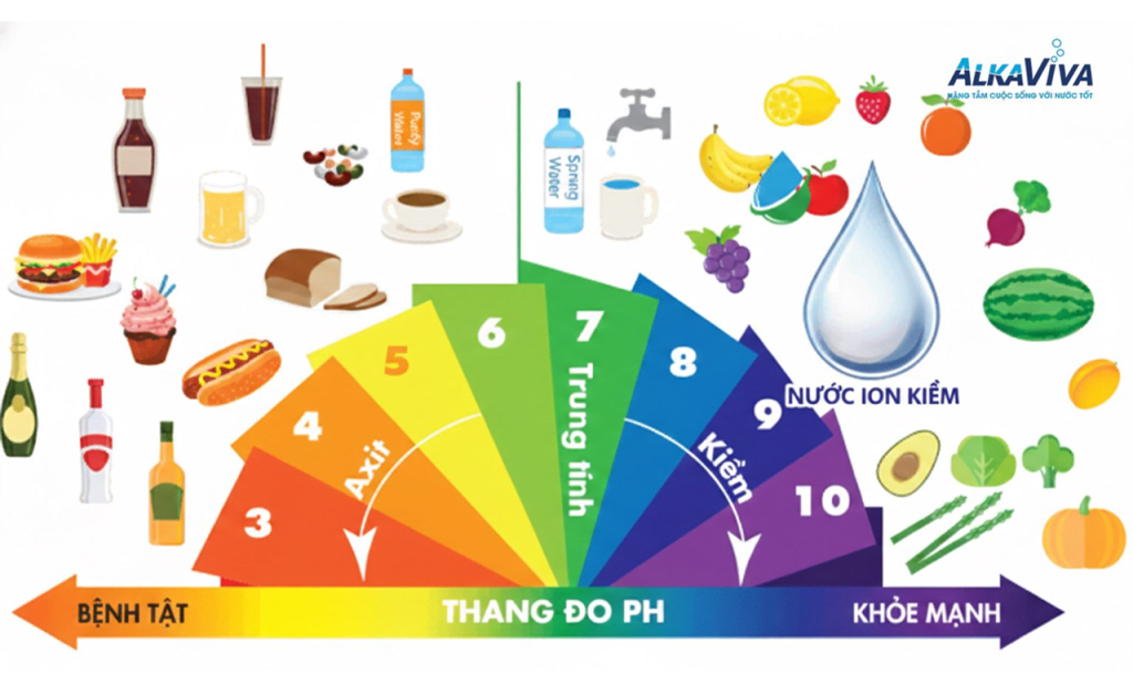 Sodium Là Gì? Tầm Quan Trọng Của Natri Đối Với Cơ Thể