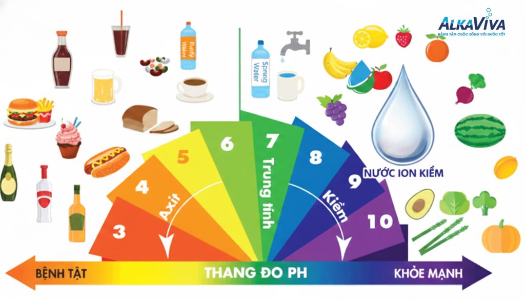 Qúa Trình Trao Đổi Chất Trong Cơ Thể Và Những Điều Bạn Cần Biết