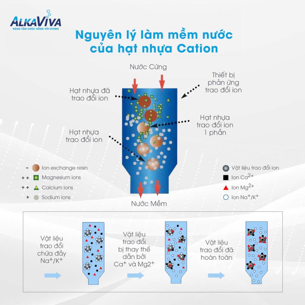 Lắp lọc tổng đầu nguồn nhưng vẫn bẩn? 90% gia đình đang hiểu sai bộ lọc tổng