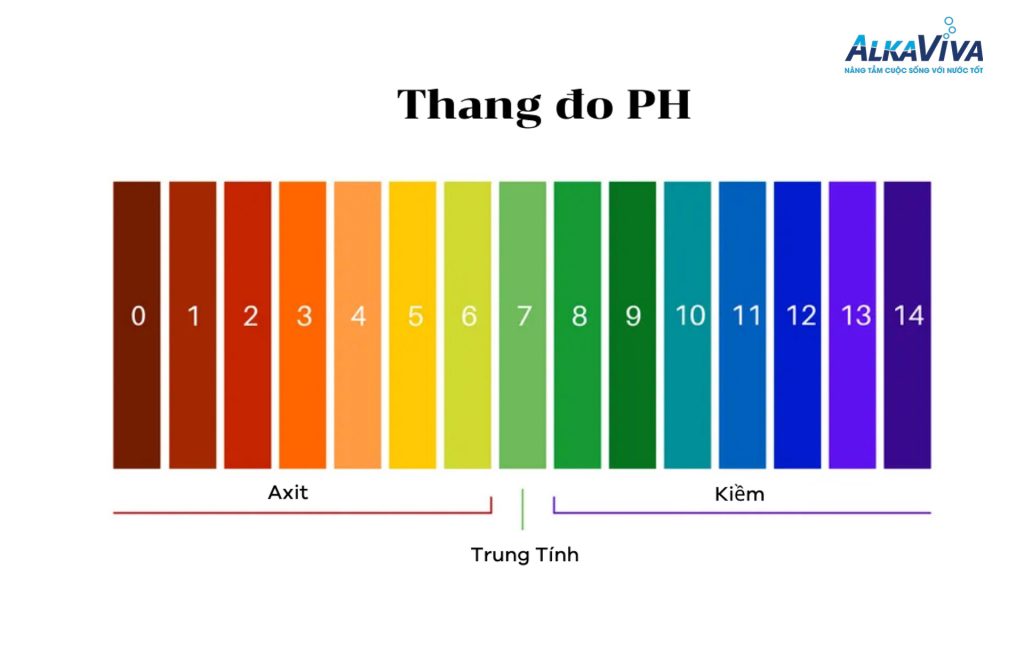 Độ pH là gì? Vì sao chỉ số pH sai lệch có thể âm thầm ảnh hưởng sức khỏe mỗi ngày