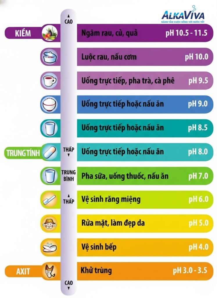 Độ pH là gì? Vì sao chỉ số pH sai lệch có thể âm thầm ảnh hưởng sức khỏe mỗi ngày