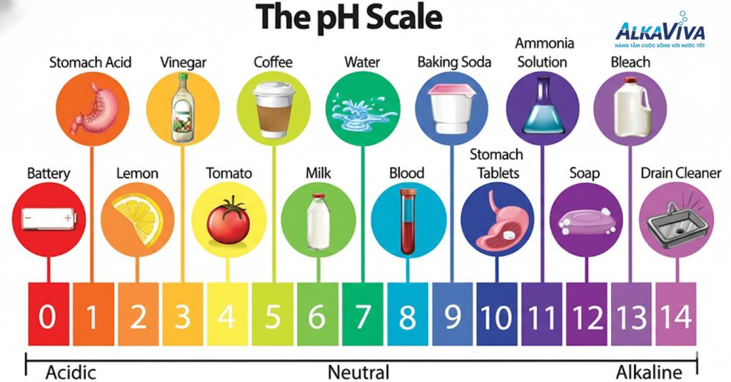 Độ pH là gì? Vì sao chỉ số pH sai lệch có thể âm thầm ảnh hưởng sức khỏe mỗi ngày