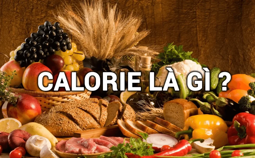 Cách Giảm Cân Hiệu Quả Cho Người Bận Rộn: Bí Quyết Giảm 5–7kg Không Cần Tập Luyện Khắc Nghiệt