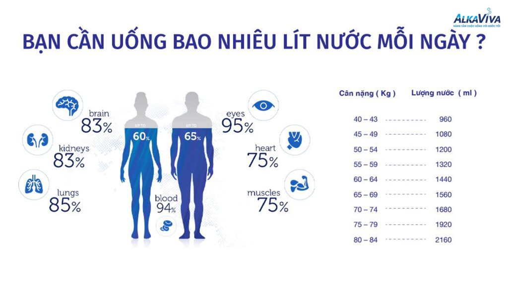 8 Thời điểm uống nước tốt nhất cho sức khỏe
