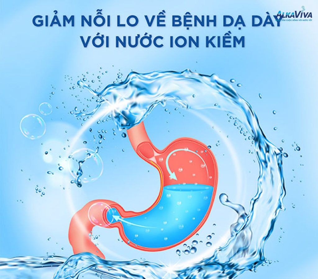 Bệnh dạ dày: Dấu hiệu, nguyên nhân và cách cải thiện trào ngược dạ dày hiệu quả