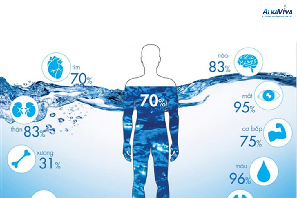 8 Thời điểm uống nước tốt nhất cho sức khỏe