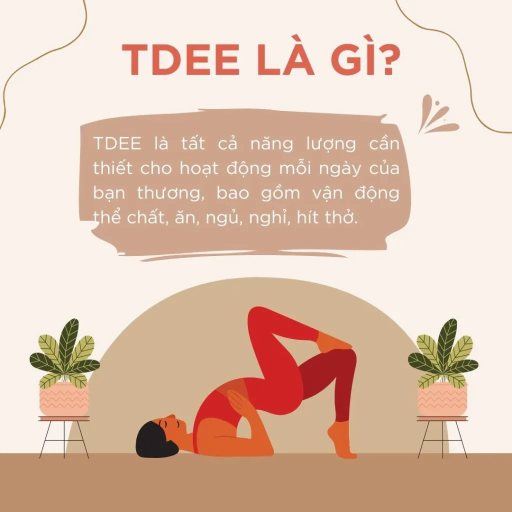 Cách Giảm Cân Hiệu Quả Cho Người Bận Rộn: Bí Quyết Giảm 5–7kg Không Cần Tập Luyện Khắc Nghiệt