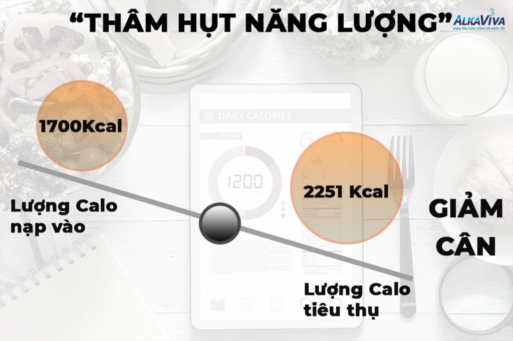 Thực đơn giảm cân 7 ngày – 1 tháng: Cách ăn giúp giảm 3–6kg mà không cần nhịn đói